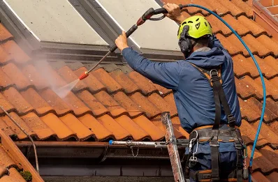 Démoussage et hydrofuge de toiture à Estramiac